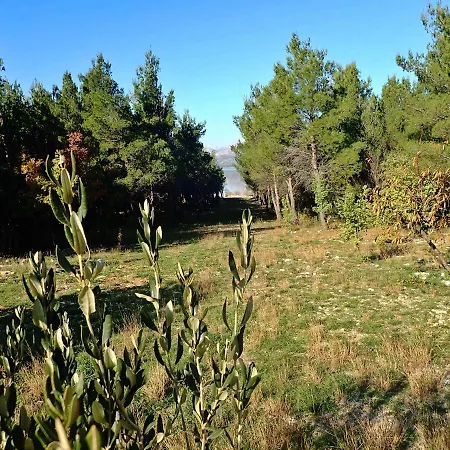 In 42083 Jasenice (Zadar)